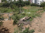 "ORGANİK TARIMLA SEBZE BAHÇESİ" - Vali Erol Çakır Ticaret Meslek Lisesi - İSTANBUL