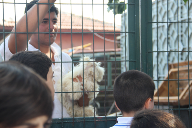 Bilinçli Gençler Derneği - Türkiye Bilinçli Gençlik Projesi - "SEVELİM KORUYALIM" - Özel Şişli Lider Koleji - İSTANBUL